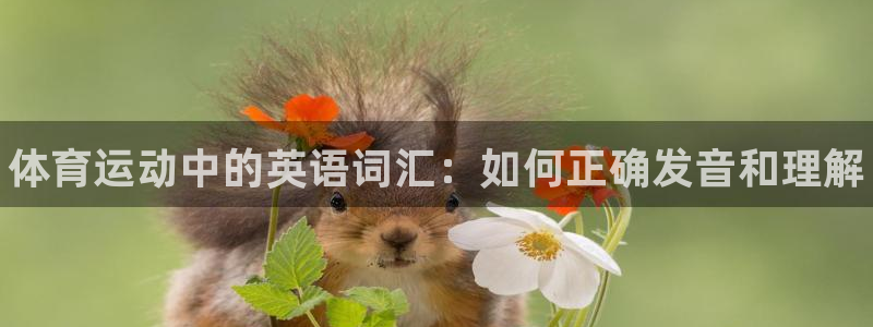 尊龙官网下载招商电话号码是多少号：体育运动中的英语词