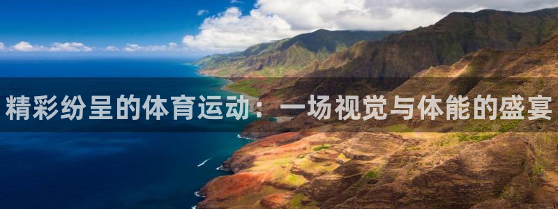 尊龙官方正版app官方：精彩纷呈的体育运动：一场视觉