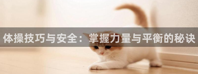 尊龙官网下载招商：体操技巧与安全：掌握力量与平衡的秘