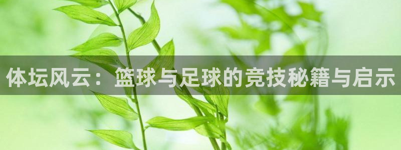 尊龙官方正版app集团简介：体坛风云：篮球与足球的竞