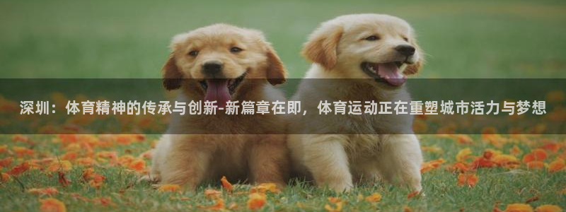 尊龙官网下载招商电话地址是多少：深圳：体育精神的传承