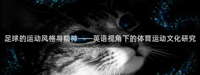 尊龙官网下载招商电话：足球的运动风格与精神——英语视