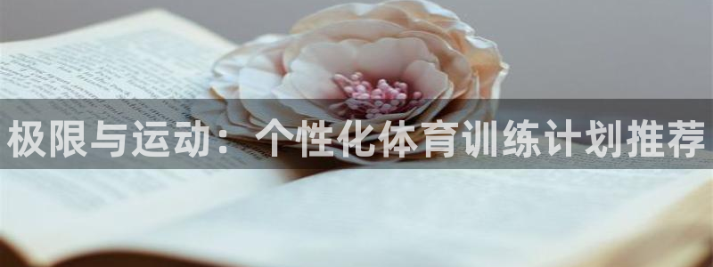 尊龙官方正版app娱乐是那个系列的台子：极限与运动：