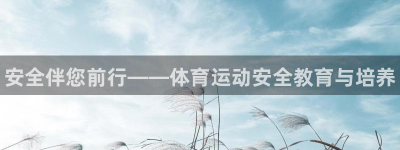 尊龙官网下载平台是正规平台吗安全吗：安全伴您前行——