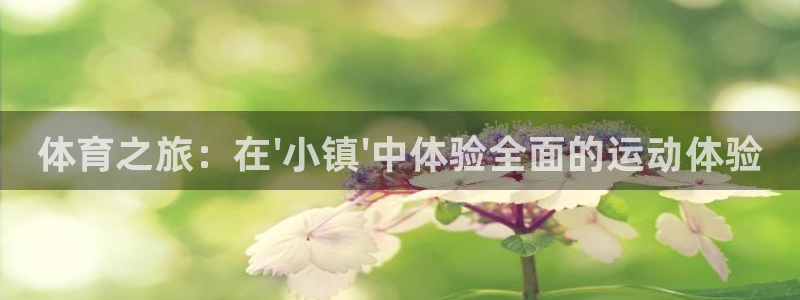 尊龙官方正版app官方：体育之旅：在\'小镇\'中体