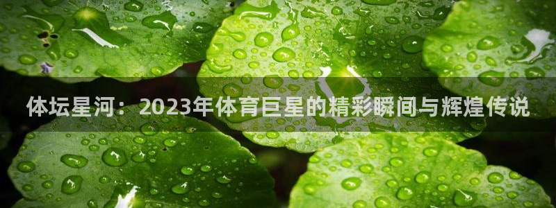 尊龙官方集团官网：体坛星河：2023年体育巨星的精彩