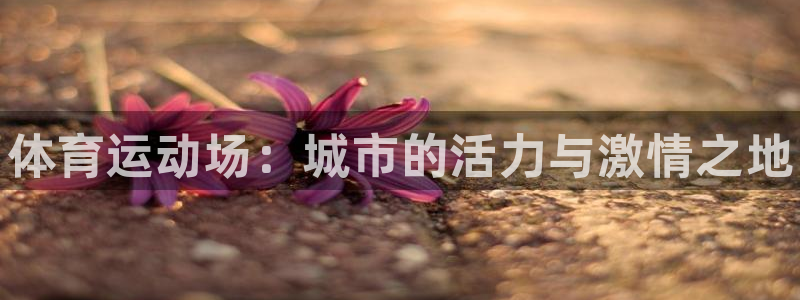 尊龙官方正版app集团官网首页网址：体育运动场：城市