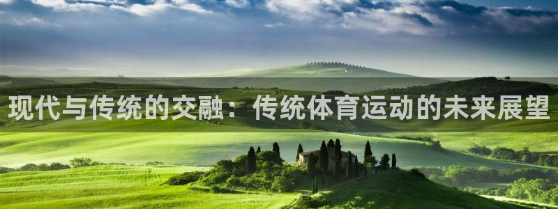 尊龙官方正版app娱乐下载：现代与传统的交融：传统体
