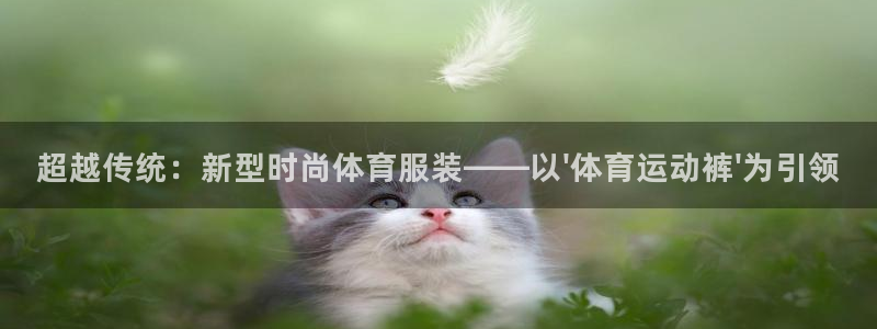 尊龙官方正版app集团简介：超越传统：新型时尚体育服