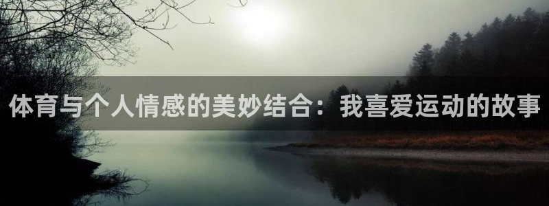 尊龙官方正版app集团简介：体育与个人情感的美妙结合