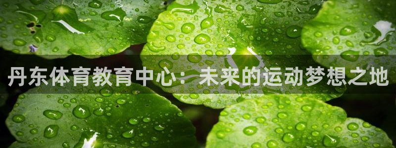 尊龙官方正版app集团E.ON：丹东体育教育中心：未