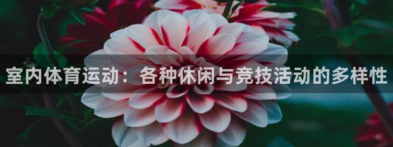 尊龙官网下载联系电话：室内体育运动：各种休闲与竞技活