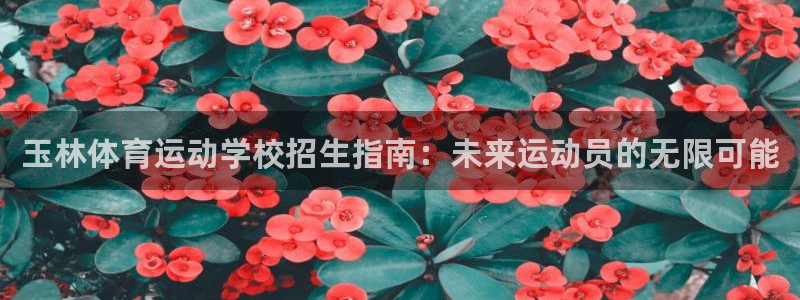尊龙官网下载平台：玉林体育运动学校招生指南：未来运动