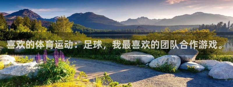 尊龙官网下载平台注册要钱吗安全吗：喜欢的体育运动：足