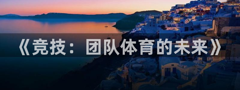 尊龙官方正版app五金厂：《竞技：团队体育的未来》