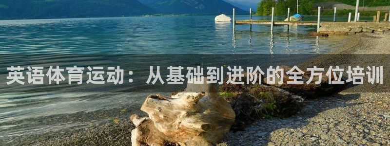 尊龙官网下载注册：英语体育运动：从基础到进阶的全方位培训
