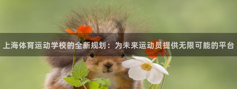 尊龙官网下载平台APP：上海体育运动学校的全新规划：为未来运