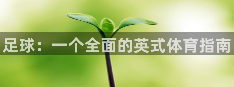 尊龙官网下载平台假的吗是真的吗