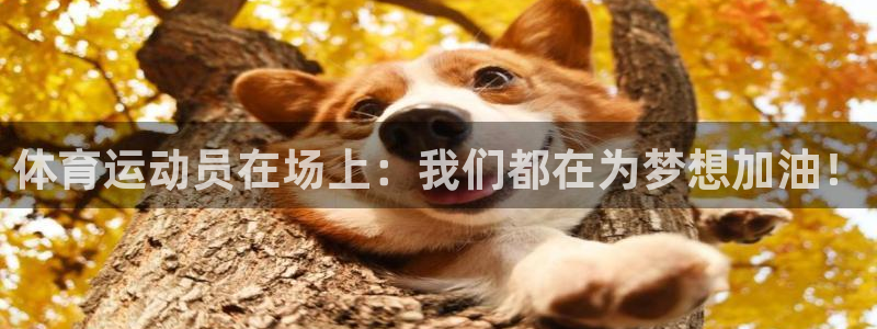 尊龙官方正版app娱乐网站：体育运动员在场上：我们都在为梦想
