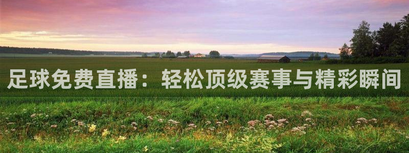 919体育直播安卓版：足球免费直播：轻松顶级赛事与精彩瞬间