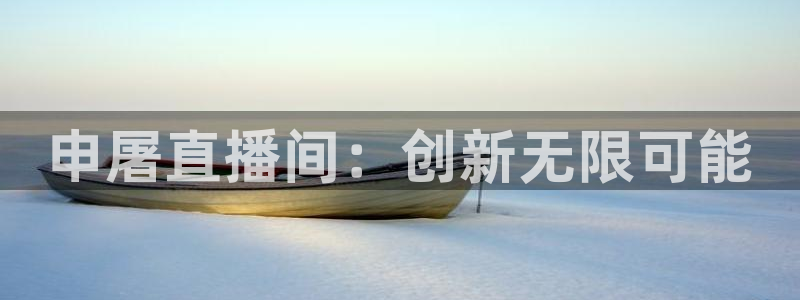 919直播在线看球：申屠直播间：创新无限可能