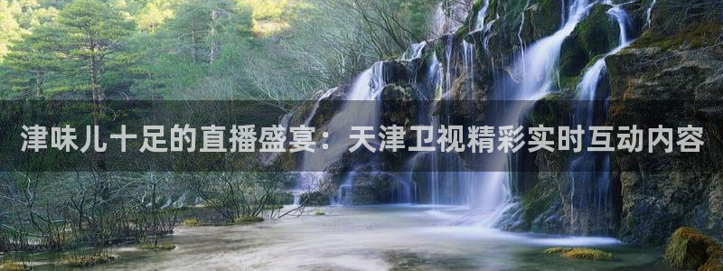 919看足球直播：津味儿十足的直播盛宴：天津卫视精彩实时互动内容
