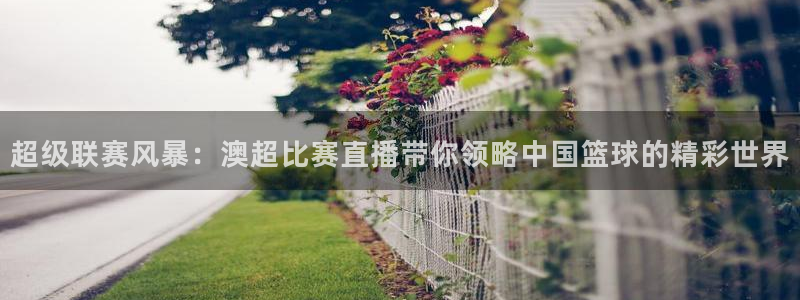 919球赛直播：超级联赛风暴：澳超比赛直播带你领略中国篮球的精彩世界