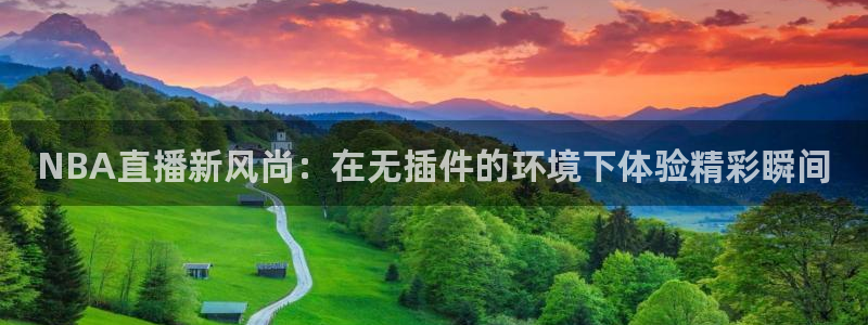 919 直播：NBA直播新风尚：在无插件的环境下体验精彩瞬间