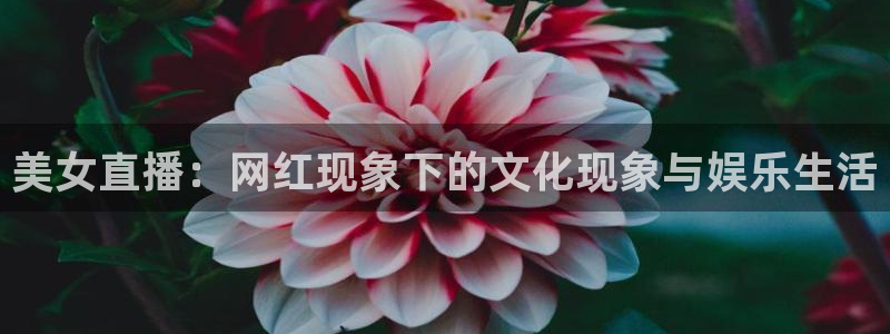 919看球直播nba：美女直播：网红现象下的文化现象与娱乐生活
