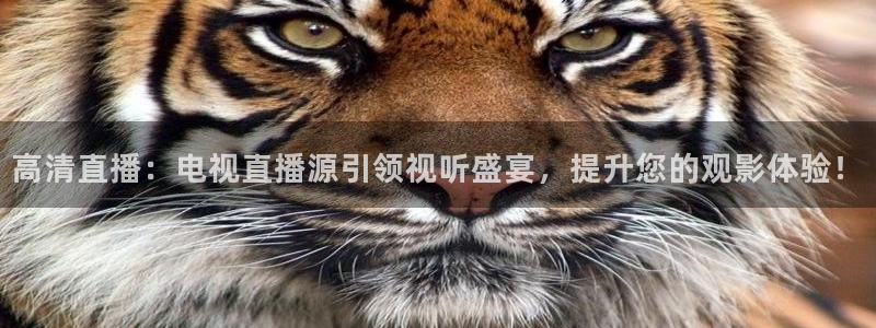 919直播平台：高清直播：电视直播源引领视听盛宴，提升您的观影体验！