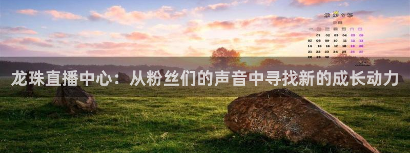 919体育：龙珠直播中心：从粉丝们的声音中寻找新的成长动力
