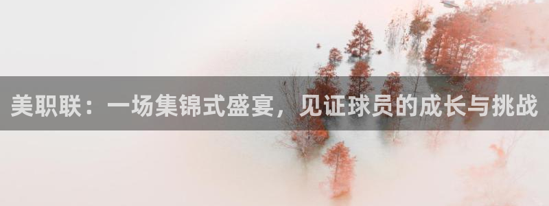 919直播：美职联：一场集锦式盛宴，见证球员的成长与挑战