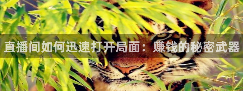 919直播吧体育：直播间如何迅速打开局面：赚钱的秘密武器