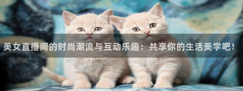 919看球直播官网入口