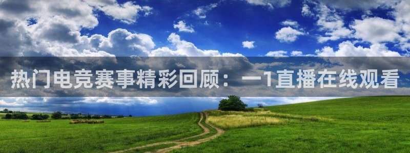 919直播体育在线直播在线看