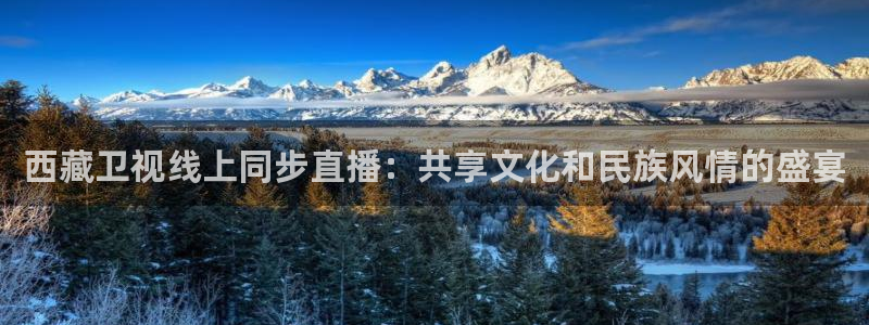 919看球直播官网入口
