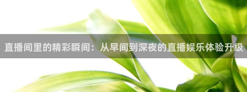 919体育直播app：直播间里的精彩瞬间：从早间到深夜的直播娱乐体验升级