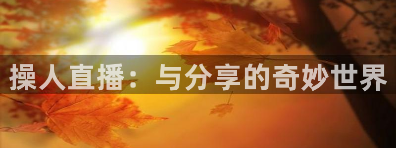 919足球直播间