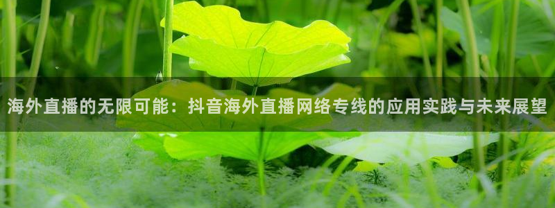 919体育直播平台在线观看：海外直播的无限可能：抖音海外直播网络专线的应用实践与未来展望
