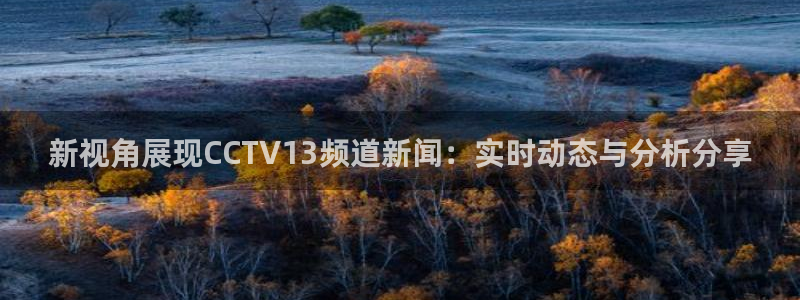 919直播体育：新视角展现CCTV13频道新闻：实时动态与分析分享