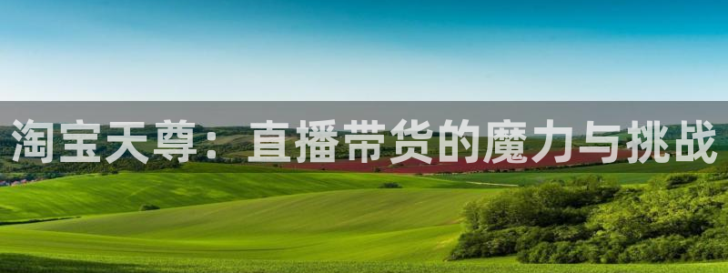 体育直播919：淘宝天尊：直播带货的魔力与挑战