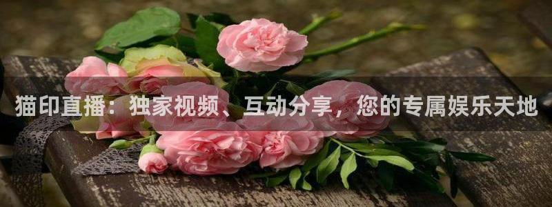 919体育直播在线观看：猫印直播：独家视频、互动分享，您的专属娱乐天地